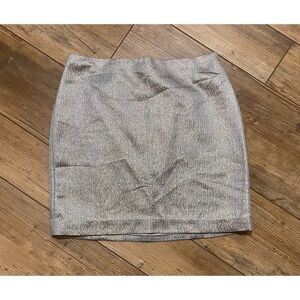 Ann Taylor Shimmery Silver Silk Metallic Blend Skirt Women’s Size 4P